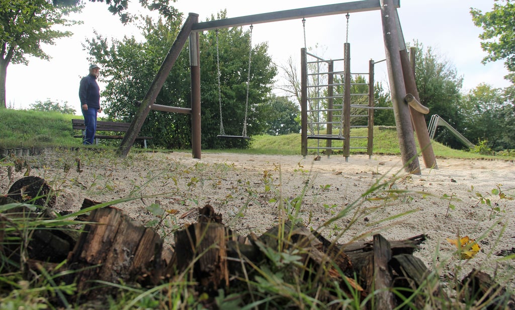 Kurt Zielinski am Ort des Verdrußobjekts: Der Spielplatz in der Ummendorfer Siedlung wird seiner Ansicht nach seit Jahren vernachlässigt, "obwohl er gut frequentiert ist." Im Vordergrund eine morsche Umfassung als ein Beispiel der langen Mängelliste.