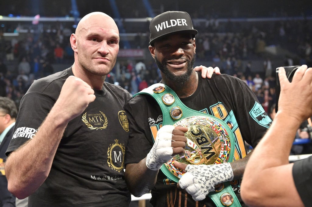 Der WM-Kampf zwischen Tyson Fury (l) und Deontay Wilder wurde verschoben.