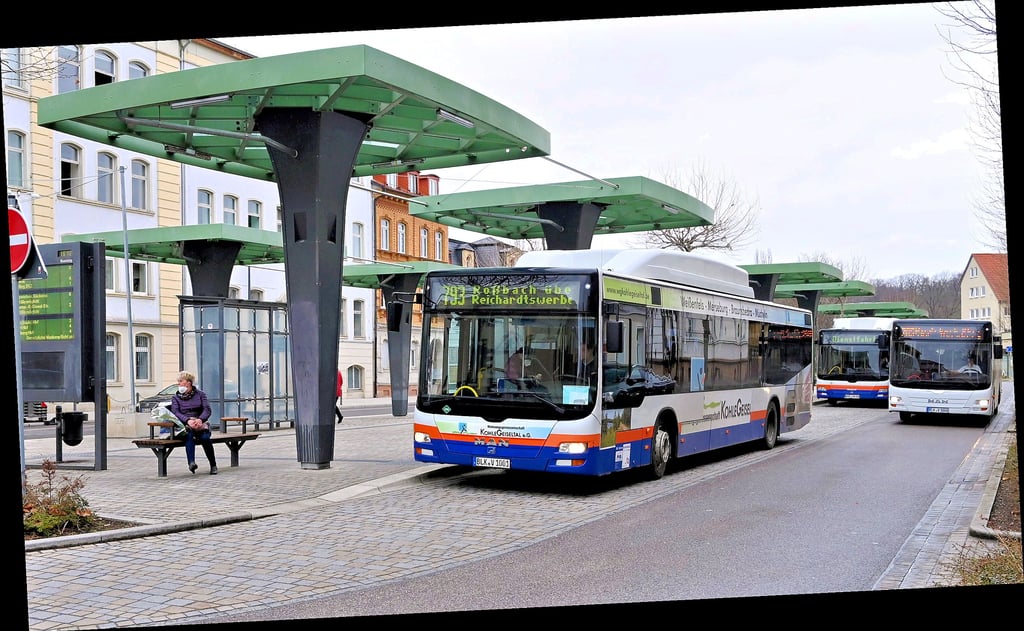 Bus und Bahn für einen Euro pro Tag nutzen zu können, ist ein reizvoller Vorschlag - der aber auch auf Kritik stößt.