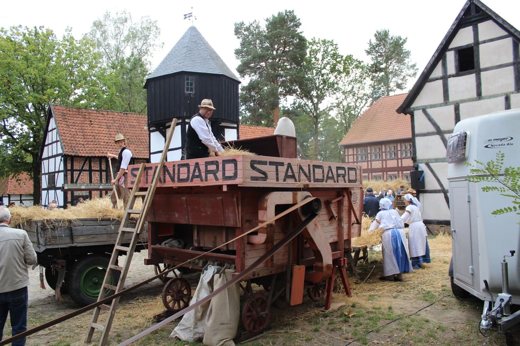 Wie einst das Korn von den Ähren getrennt wurde, ist am kommenden Sonntag in Diesdorf zu bewundern.