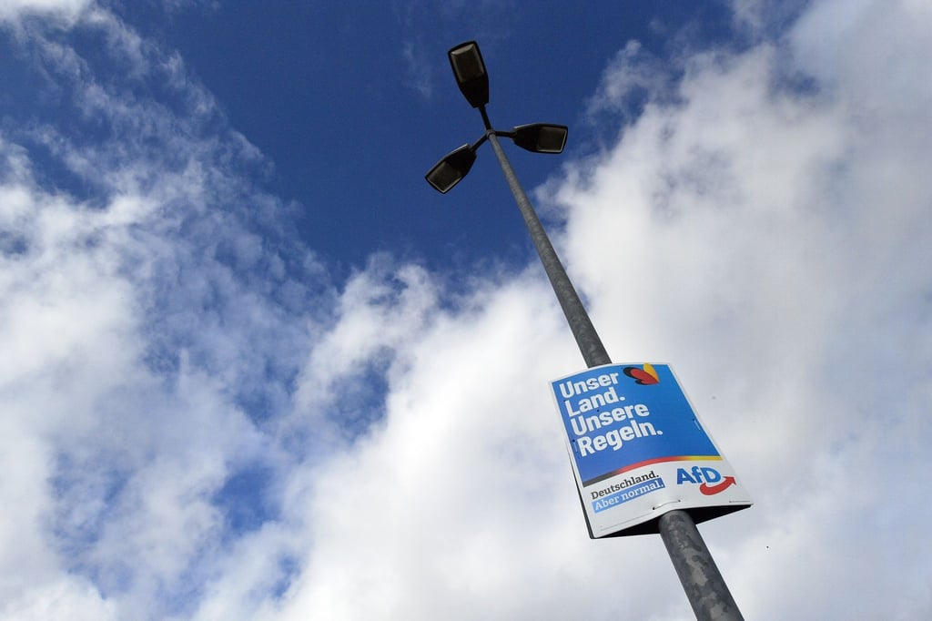 Wahlplakate der Alternative für Deutschland (AfD).