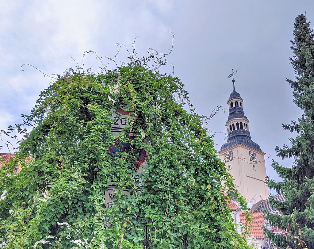 Die Hinweise auf diesem Verkehrsschild in der Gardelegener Innenstadt konnte wohl niemand mehr lesen.