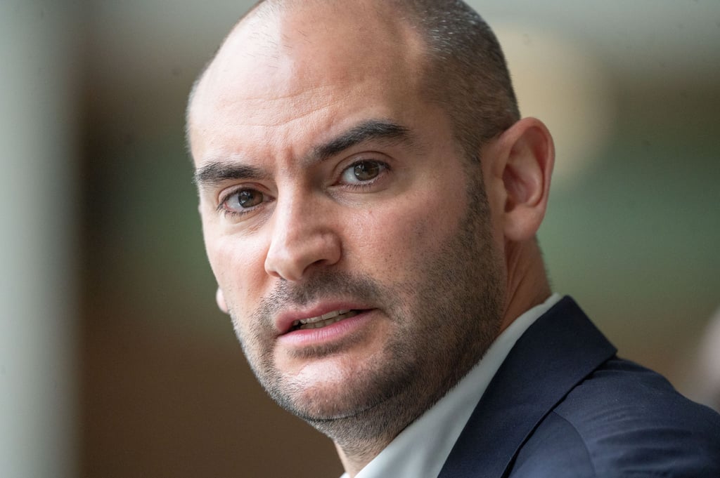 Baden-Württembergs Finanzminister Danyal Bayaz (Grüne) hat für die Einrichtung des anonymen Meldeportals für Steuerbetrug viel Kritik einstecken müssen - bis in zu Hassmails und Drohungen.