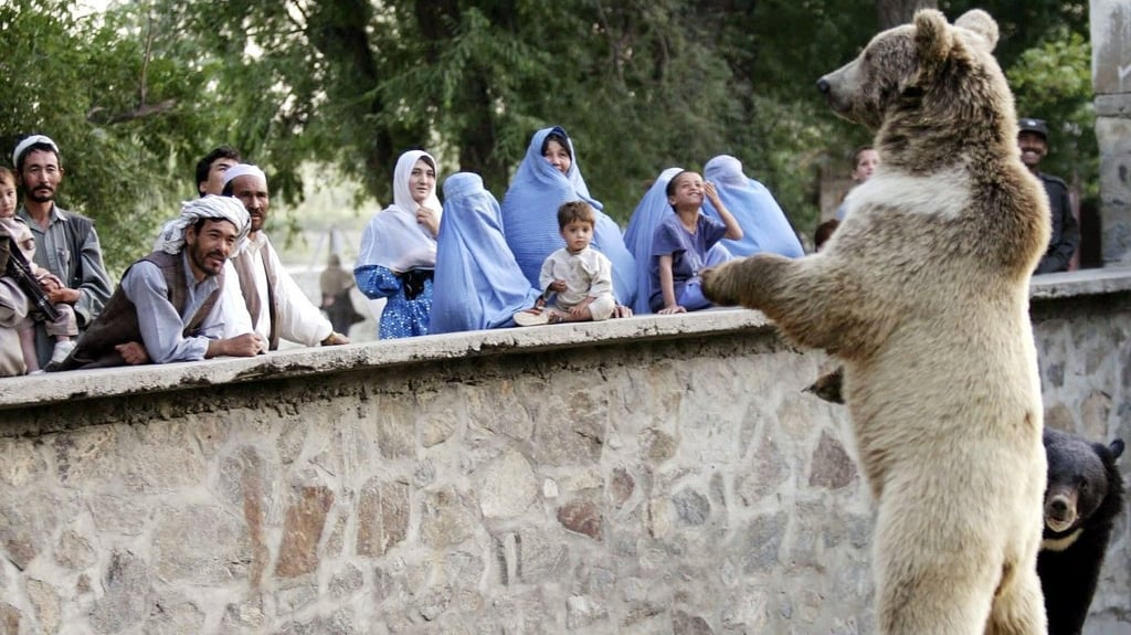Ein Bild aus dem Jahr 2004: Der Kabuler Zoo erfreute sich bei den Besuchern großer Beliebtheit. Ändert sich das nun unter der Regentschaft der Taliban?