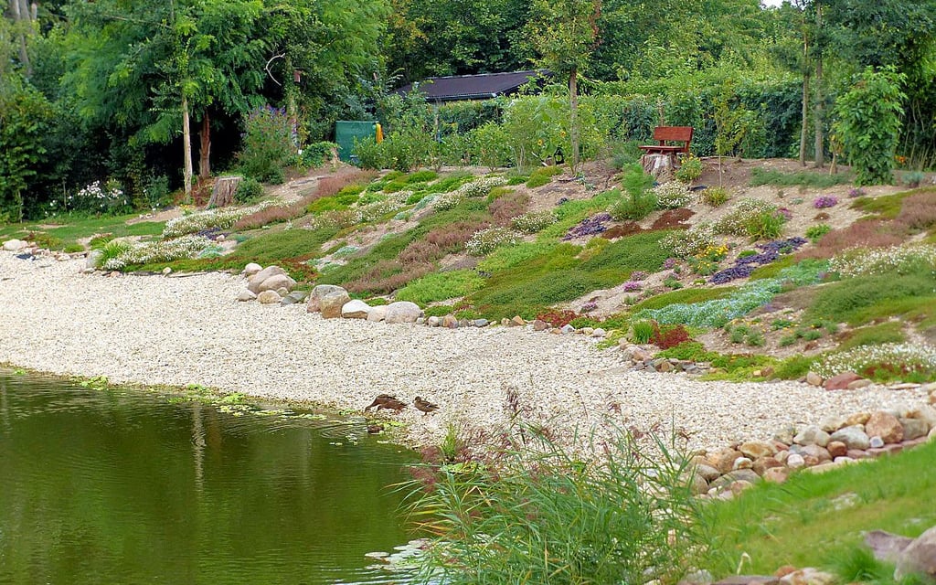 Der Teich und der Uferbereich sind ein Schmuckstück geworden.