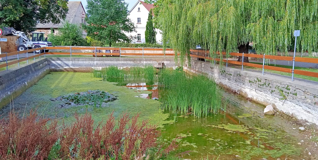 Der Teich in Endorf, der im Notfall zur Löschwasserversorgung dienen soll, bekommt kein Wasser mehr. Eine Lösung ist seit Jahren nicht in Sicht.