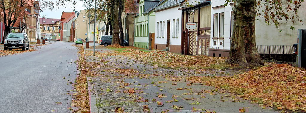 Ein Bild aus Vorjahren: Laub in der Breiten Straße in Tangerhütte.
