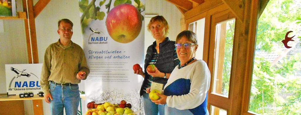 Iris Hölzer hatte mit Helene Helm (r.) und Dirk Mundt gut zu tun, die sortenbestimmten Äpfel und Birnen in der Ausstellung aufzureihen. Zu sehen war sie bei der Obstsortenbestimmung im Bienenlehrgarten in Nebra.