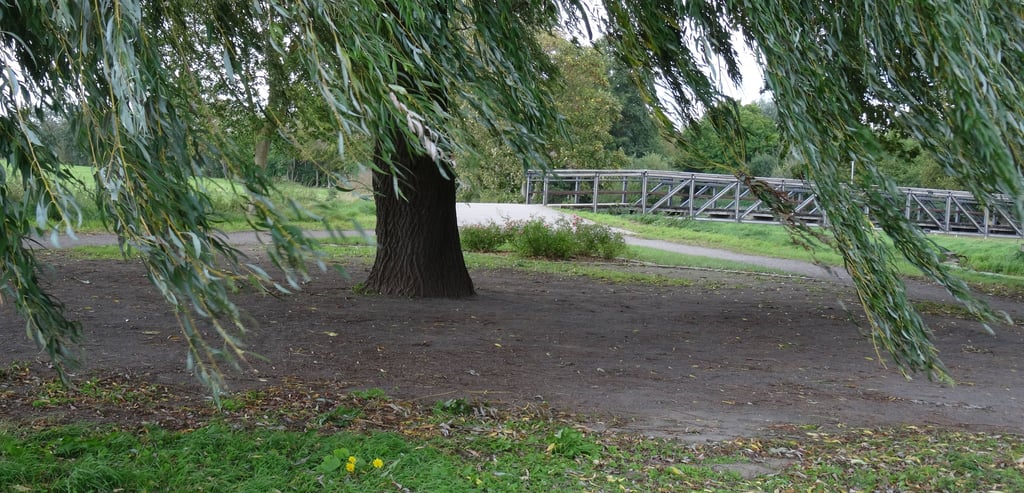 Keine Bank in Sicht: Vielleicht lädt die Trauerweide an der Biese Osterburg ja beim nächsten Osterspaziergang schon wieder zum Ausruhen ein.