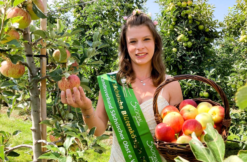 Elisabeth II., Blütenkönigin des Verbands ?Sächsisches Obst?, bei der Eröffnung der Apfelsaison in der Plantage vom Obsthof Müller in Querfurt