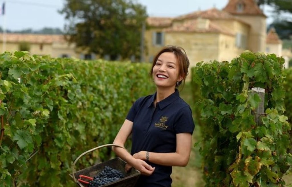 Aus bislang noch unbekannten Gründen wurde der Name von Zhao Wei, einer der bekanntesten Schauspielerinnen Chinas, aus dem Internet gelöscht und von den Filmen gestrichen, in denen sie mitgearbeitet hatte