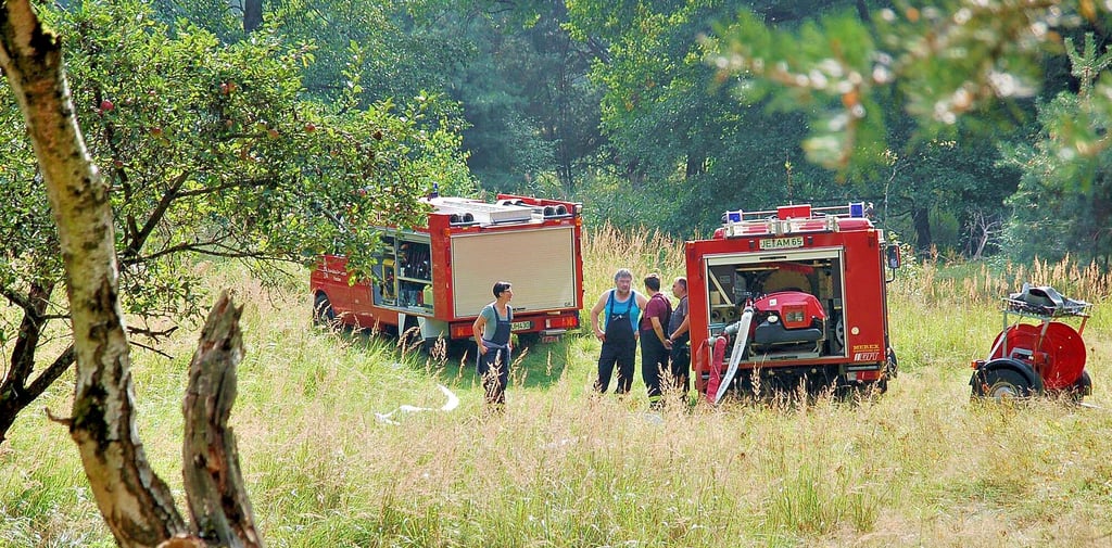 Das Bekämpfen eines angenommenen Waldbrands in der Annaburger Heide wurde am Sonnabend geübt.