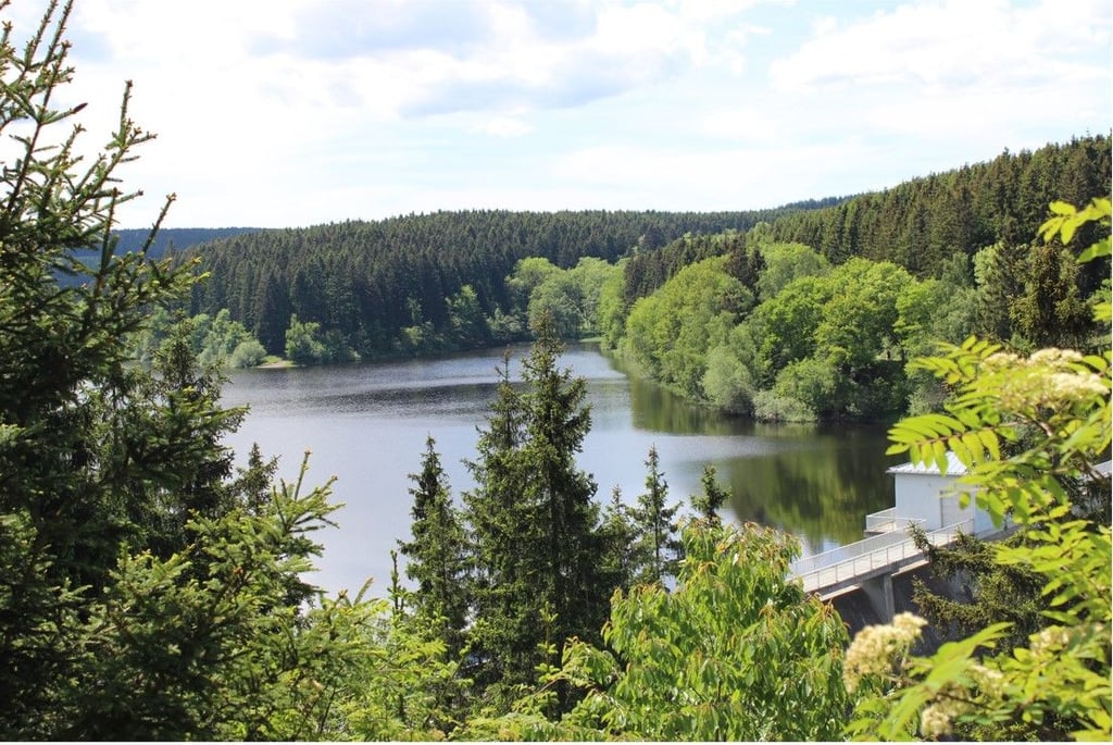 Ausblick auf die Zillierbachtalsperre: Bei einem Rundweg von Elbingerode über die Talsperre kommt man am Peterstein vorbei und kann diesen Ausblick genießen.