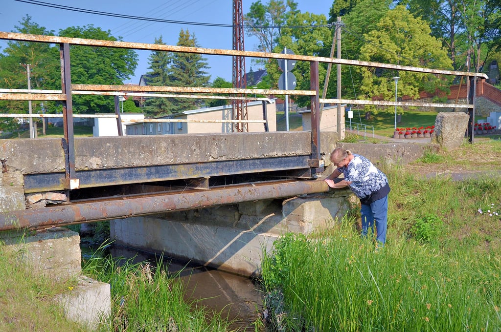 Die marode Brücke über die Sülze in Sülldorf wird abgerissen und neu gebaut. Bürgermeisterin Gruetz nannte während der Sitzung des Ortschaftsrats Details der Planung.