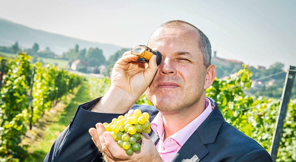 Hans Albrecht Zieger misst mit einem Refraktometer den Oechsle-Grad.
