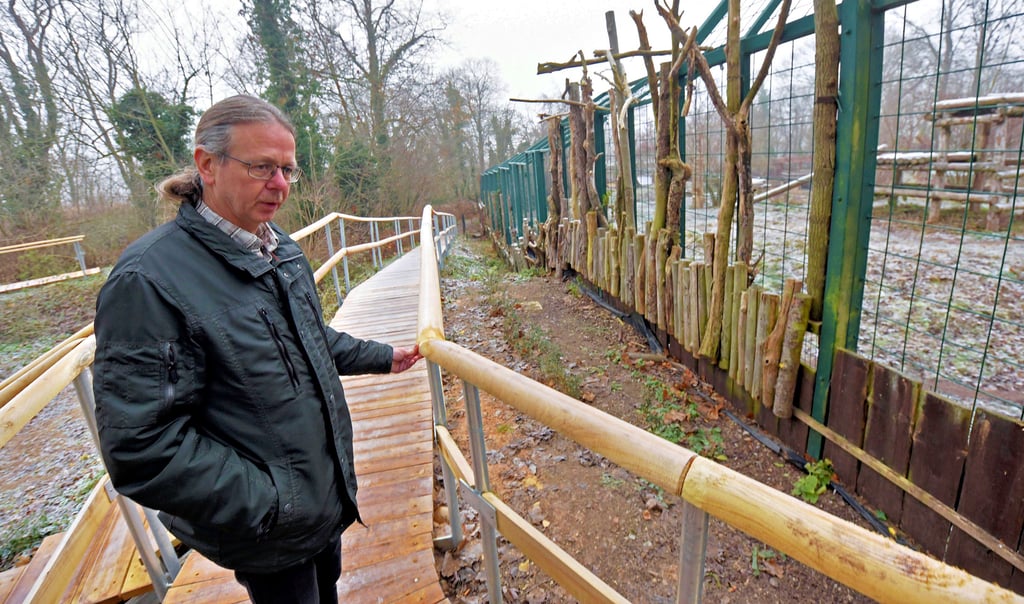 Zooleiter Alexander Beck freut sich, dass der Tigerpfad nun endlich seine Holzbohlen hat.