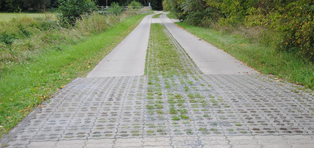 Höhere Aufpflasterungen wie hier auf dem ländlichen Weg Audorf-Siedenlangenbeck könnten auch zwischen Käcklitz und Groß Gischau ein Mittel gegen Raser sein.