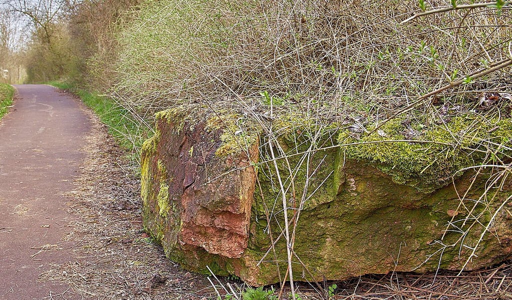 Der Saaleradweg zwischen Könnern und Rothenburg ist wegen Felssturzgefahr seit zehn Jahren gesperrt. Jetzt ist Geld da für die notwendige Hangsicherung.