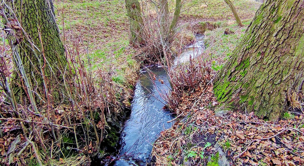 Der Wilde Bach bei Zetzschdorf