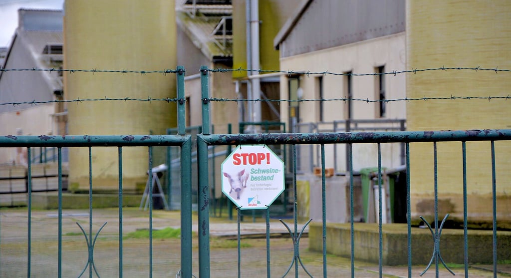Blick auf die Schweinehaltungsanlage Wasmerslage.