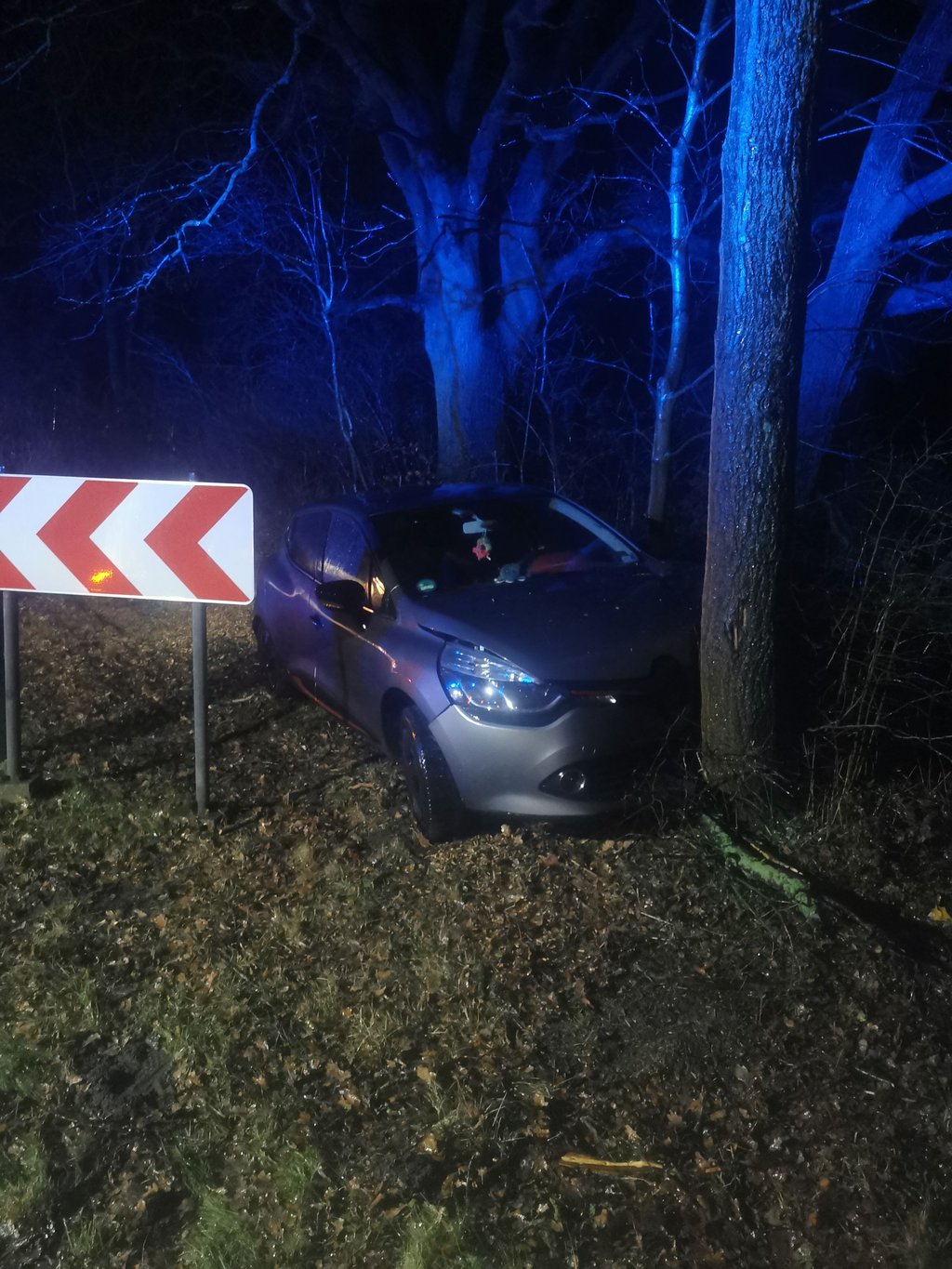 Weil eine 21-Jährige in Everingen im Landkreis Börde einem Reh und anschließend dem Gegenverkehr ausgewichen ist, fuhr sie gegen einen Baum. Dabei wurde sie leicht verletzt.