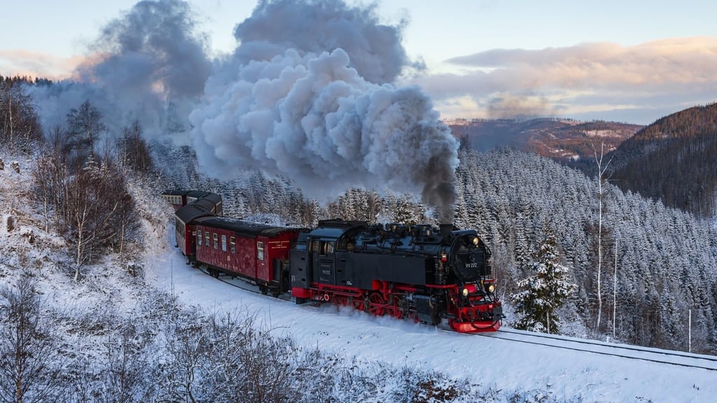 Die Harzer Schmalspurbahn ist immer ein Highlight, aber im Winter mit Schnee macht es ganz besonders viel Spaß die Bahn zu fotografieren, sagt der Hobbyfotograf Michael Lumme aus Abbenrode im Landkreis Harz.