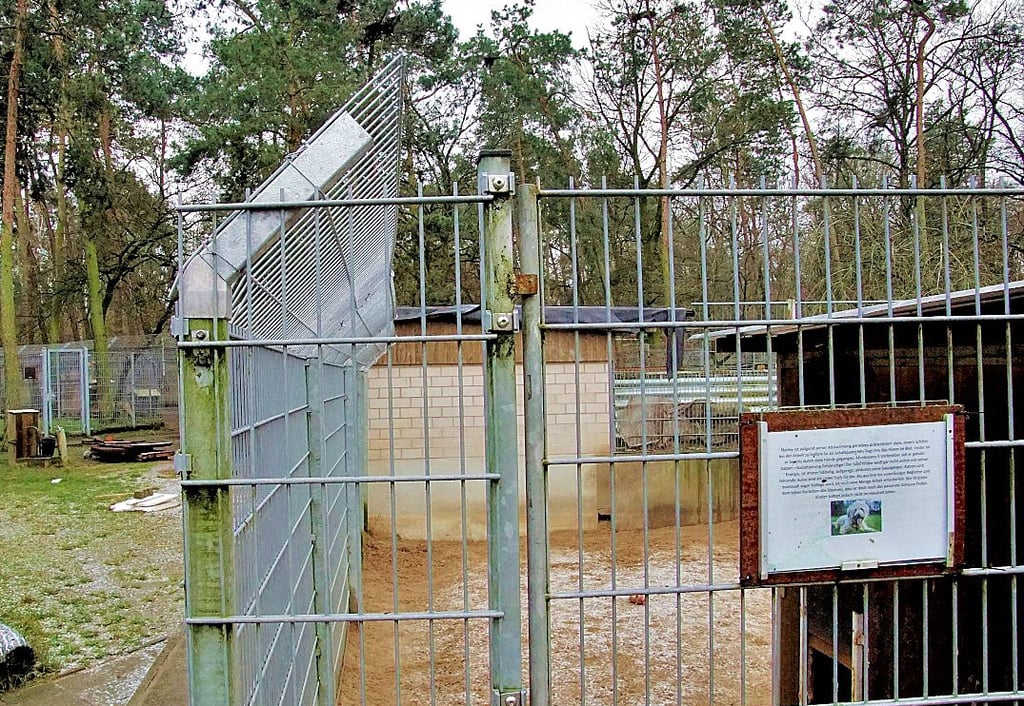 Das schräg angebrachte Gitter des Zwingers im Tierheim in Borstel soll verhindern, dass Hunde über den Zaun klettern.