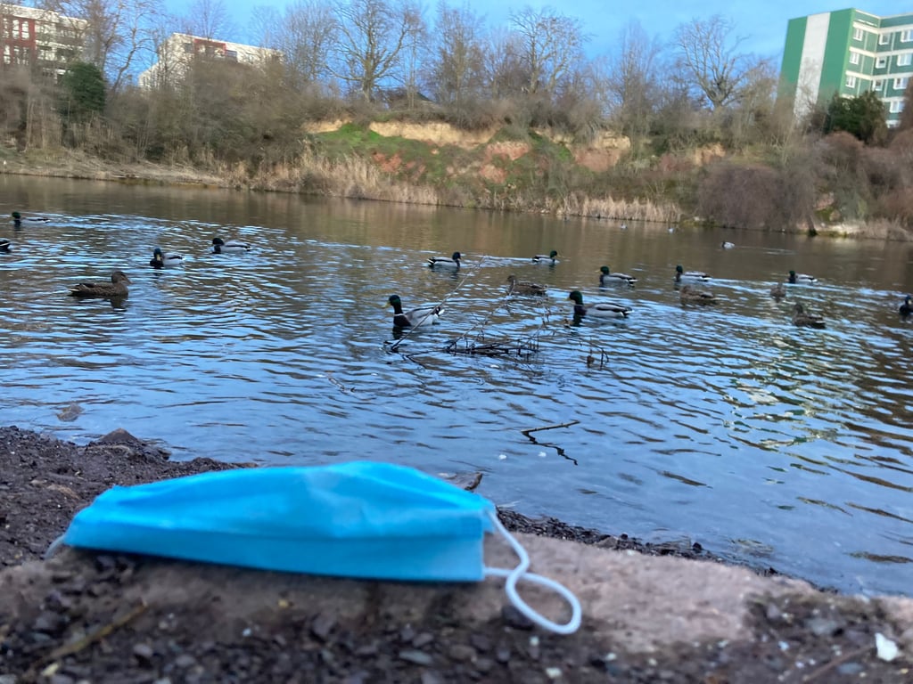 Der Mund-Nasen-Schutz steht für Sicherheit und Ärger - etwa wenn er illegal entsorgt wird, wie am am Magdeburger Sternsee. Der ist oft das Ziel von Putzeinsätzen, organisiert von Bewohnern.