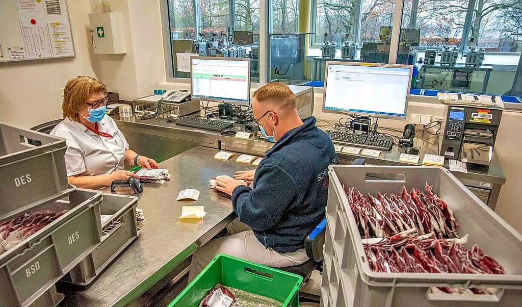 Jedes Präparat wird vor der Verwendung geprüft und dann ettiketiert, hier von Christoph Gase (r.) und Manuela Paasch in der Zellgewinnung.