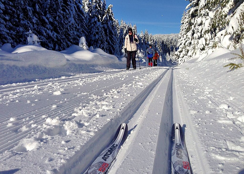 So sieht der Wintertraum aus: Ski-Langläuferinnen in der perfekt gespurten großen Winterberg-Loipe oberhalb von Schierke.