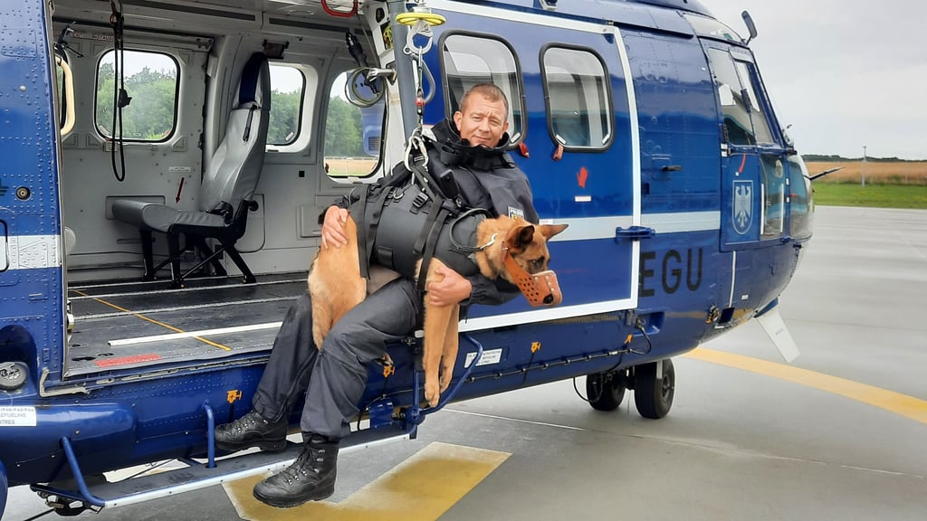 Seit fünf Jahren sind Lotte, ein Malinois-Schäferhund-Mix, und Polizeihauptkommissar Sven Scharfenberger ein Team.