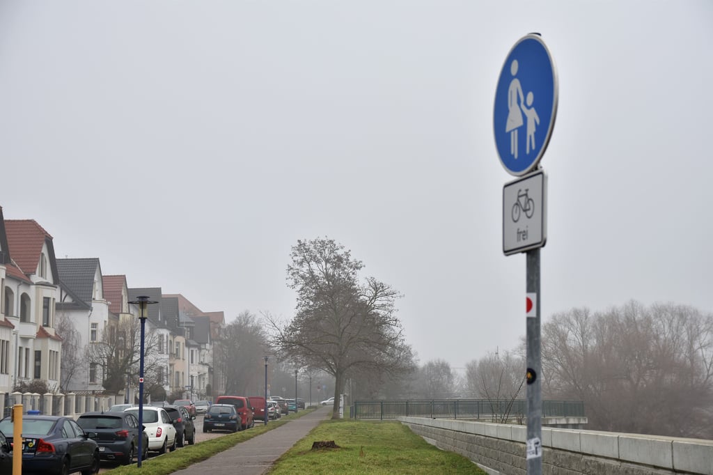 Blick auf den Gehweg entlang der Oststraße in Magdeburg-Werder.