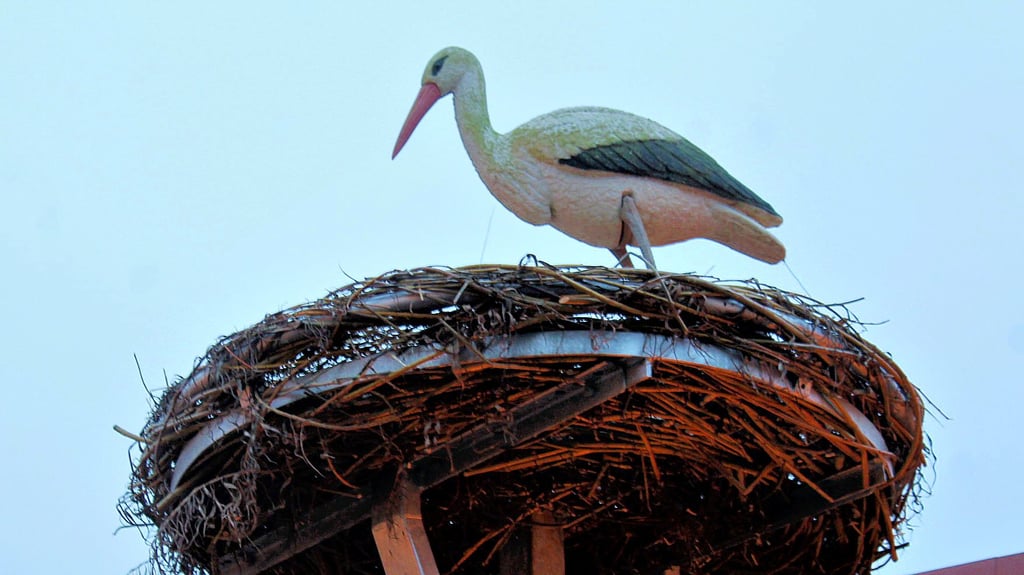 Das neue Storchennest ist schon da, der Storch noch eine Attrappe. Zum Weihnachtsmarkt machte die Interessengemeinschaft Beendorf auf ihr Projekt aufmerksam, indem sie das Nest präsentierte.