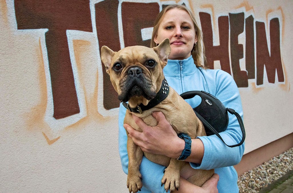 Ute Rieche vom Tierheim mit Bulldogge Karl. Der dreijährige Rüde ist eigentlich in Zerbst zu Hause.