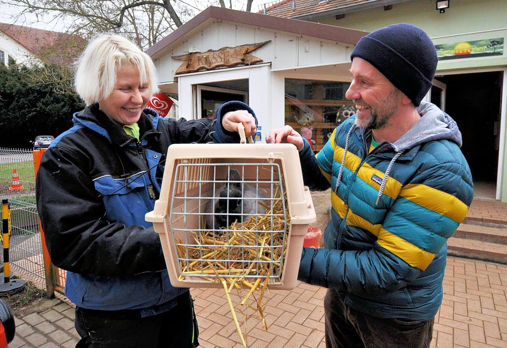 Der erste Neuzugang im Jahr 2022: Alexander Ombeck aus Camburg übergibt das Kaninchen „Svetlana“, dessen Vorfahren selbst aus dem Bad Kösener Zoo stammen, an Tierparkmitarbeiterin Sandra Koch.