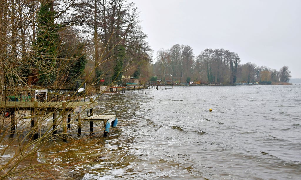 Blick vom Ende des Müller-Arendsee-Weges auf den Uferbereich. Was die dortigen Parzellen angeht, stehen Veränderungen an.