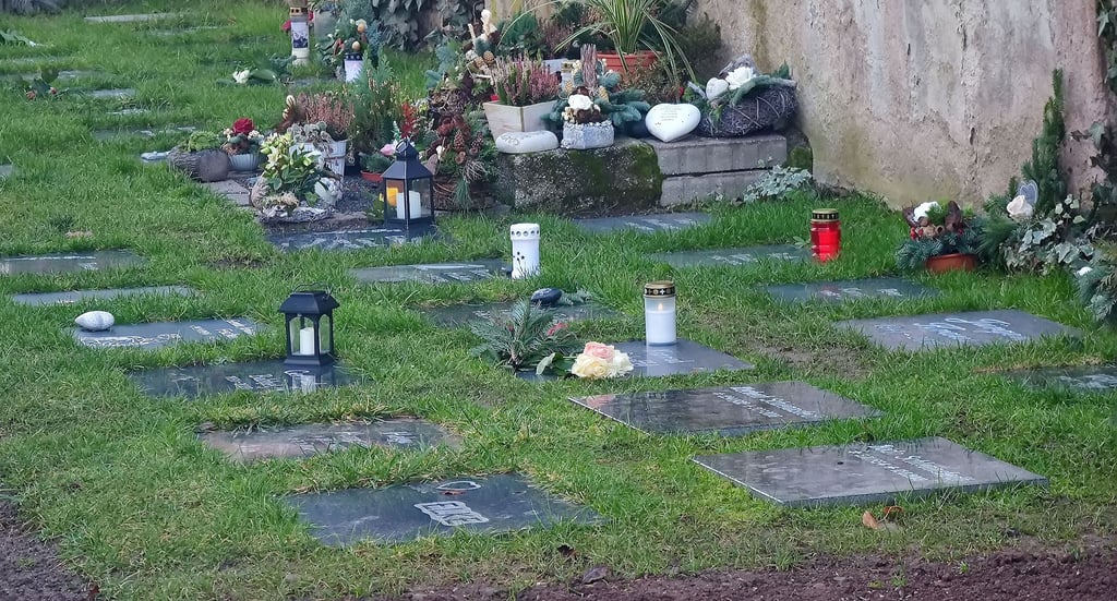 Die Urnengemeinschaftsanlage mit Namenssteinen auf dem Friedhof in Allstedt.