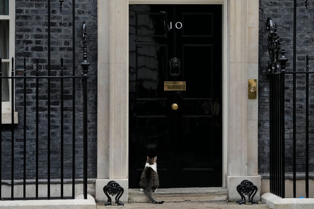 Kater Larry sitzt vor der Tür der 10 Downing Street. Dort wurden 2020 und 2021 - mitten im Lockdown - anscheinend rauschende Partys gefeiert.