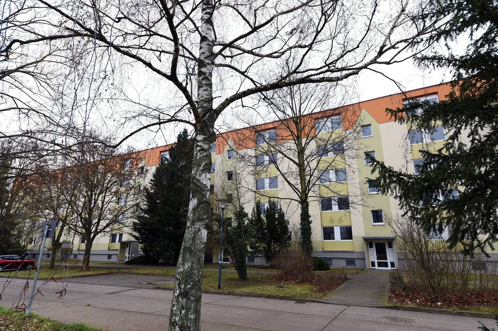 Die Aufgabenstellung stellt konkrete Anforderungen an die Konzepte – etwa den Abriss der Wohngebäude an der Lelitzer Straße 70–75.