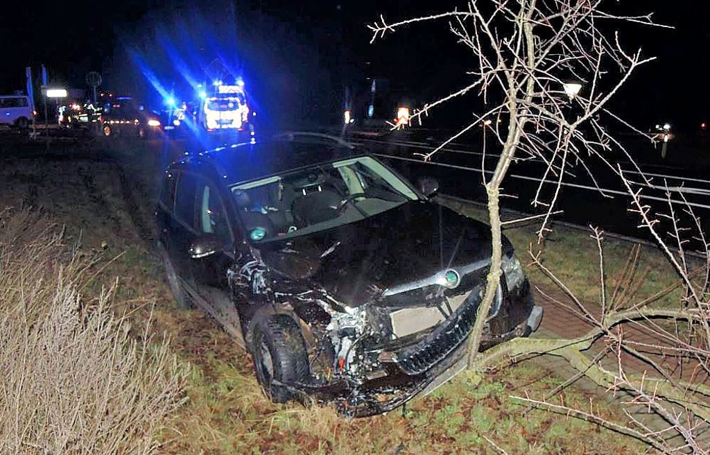 Nach der Kollision mit dem Transporter kam der Skoda von der Fahban ab und stieß gegen einen Straßenbaum.