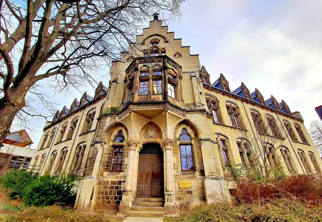 Das Gerhart-Hauptmann-Gymnasium in Wernigerode – hier das Gebäude Westernstraße – wäre ohne Veränderung der Einzugsbereiche in seinem Bestand gefährdet.