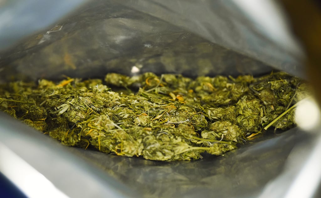 Drei Männer sitzen wegen eines Drogendeals über zehn Kilo Marihuana und 200 Gramm Kokain auf der Anklagebank des Landgerichts in Halle.