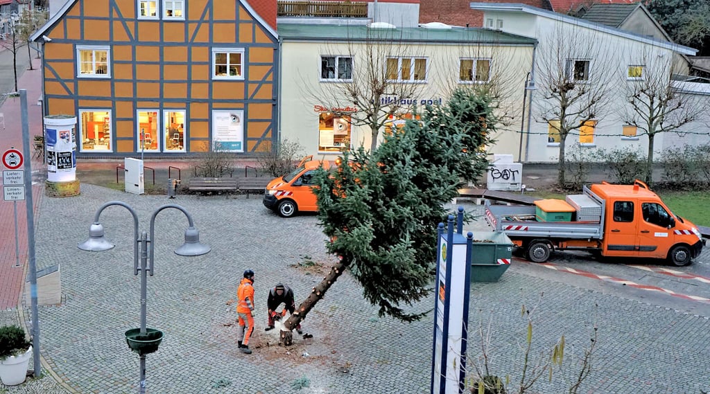 Das war's: Mein Freund, der Baum ist tot.