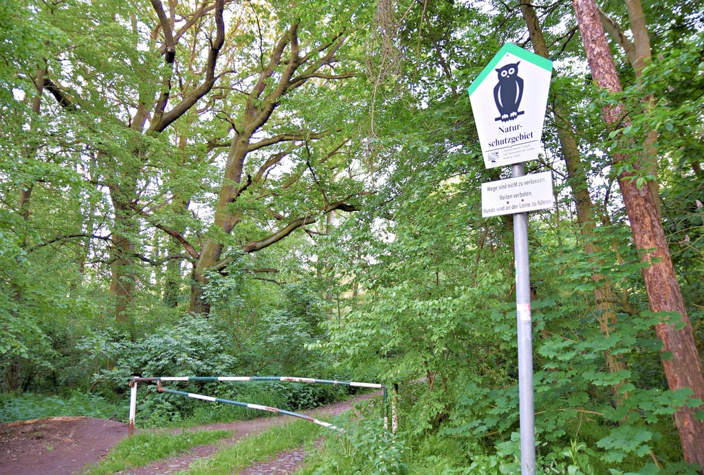 Der Eingang zum Naturschutzgebiet Kreuzhorst bei Magdeburg-Pechau.