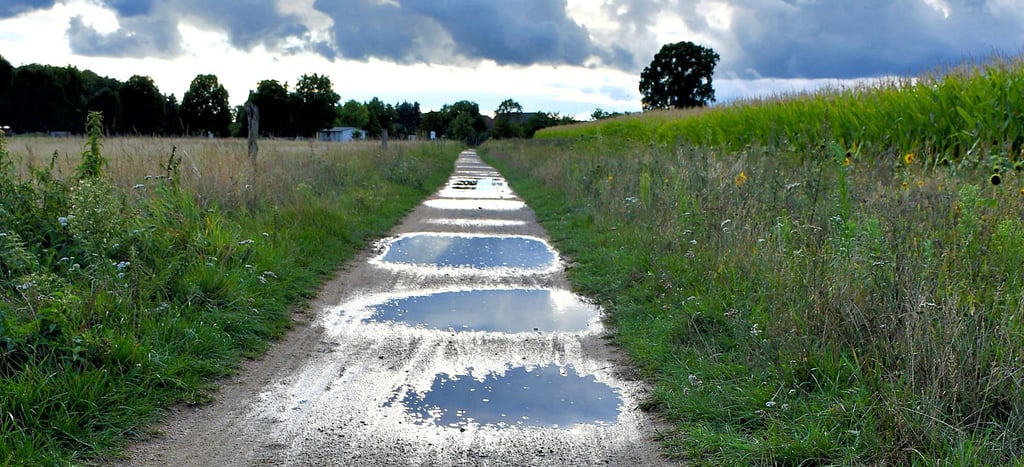Nach Regengüssen entstehen zwischen Wald und Zießau – wie hier im Sommer 2021 – schnell jede Menge Pfützen, die teilweise die komplette Promenadenbreite umfassen.