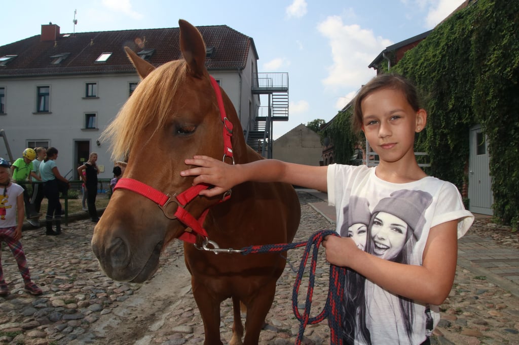 Ein Ferienkind auf den Europa-Bauernhof in Deetz mit einem Pferd. Zwei FÖJlerinnen berichten, warum sie gern dort arbeiten.