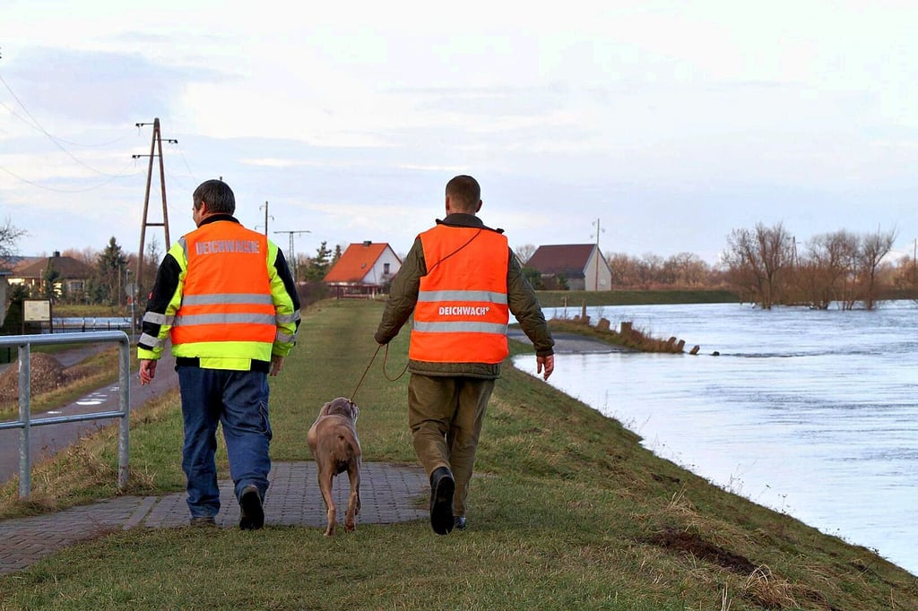Zwei Jahrhunderthochwasser hat der Osten von Magdeburg in diesem Jahrhundert schon durchstehen müssen. Hier läuft die Deichwache über den alten Damm in Pechau.