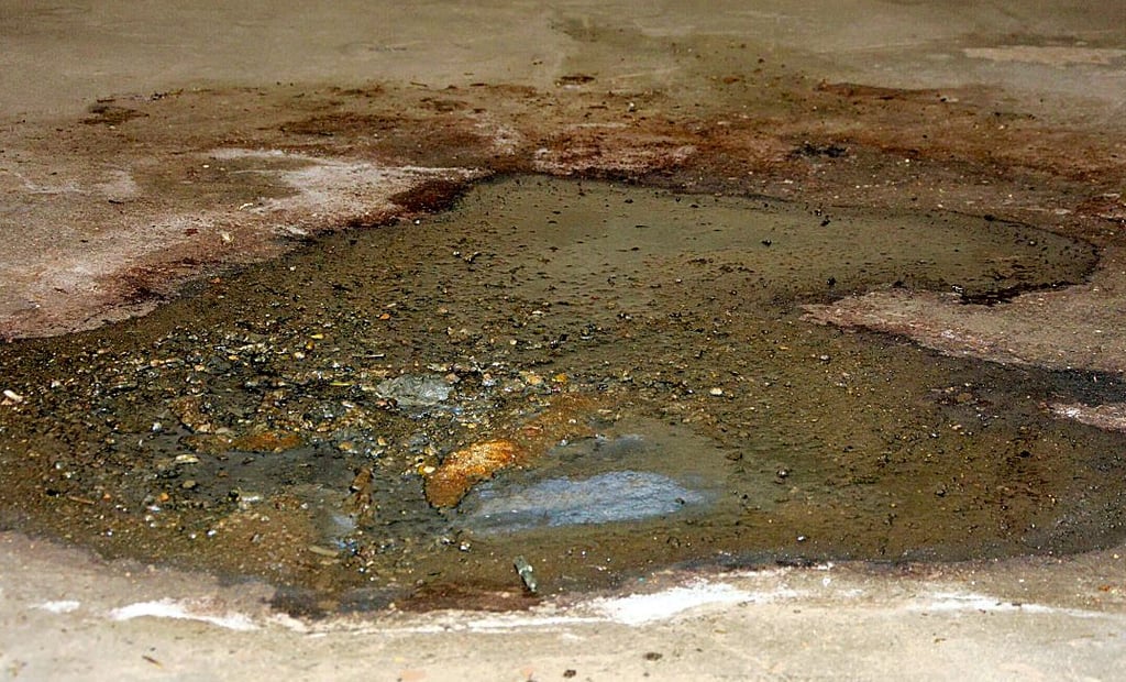 Neben normalen Wasser taucht auch Abwasser im Keller des Hauses in der Otto-Kohle-Straße in Schönebeck auf. Der Geruch der Fäkalien stört die Mieter verständlicherweise.