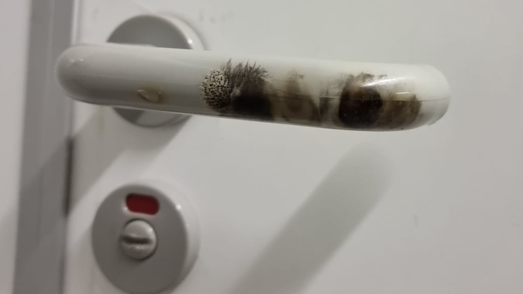 Am Gymnasium in Weferlingen im Landkreis Börde haben Unbekannte mehrere Türgriffe in der Jungentoilette beschädigt. Auch ein Fensterrahmen zeigte Brandspuren. Die Polizei sucht nun nach Hinweisen.
