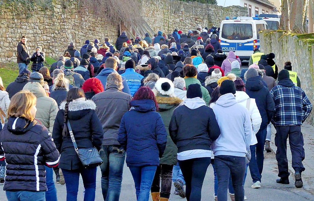 Rund 650 Menschen beteiligten sich an der Demo gegen die Impfpflicht.